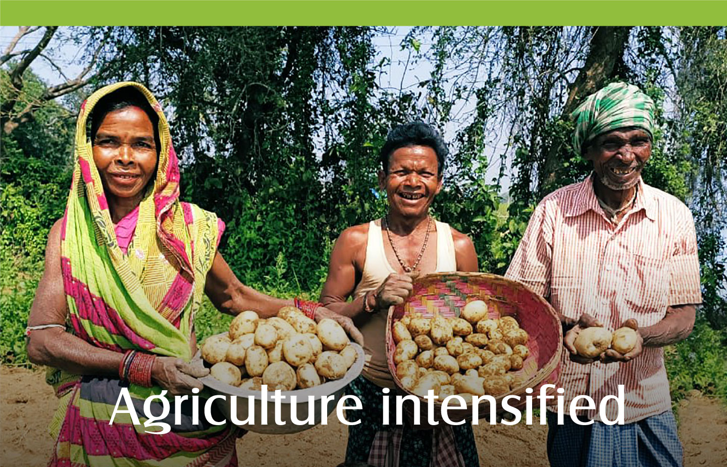 Agriculture intensified