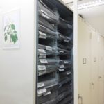 6. Long-term preservation