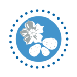 Cryopreserved potato shoot tips showed genotype-specific response to sucrose concentration in rewarming solution (RS)