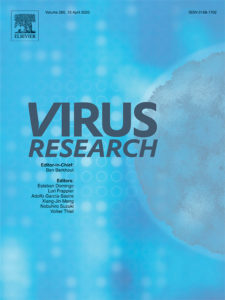 Characterization of distinct strains of an aphid-transmitted ilarvirus (Fam. Bromoviridae) infecting different hosts from South America