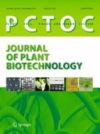 Cryopreserved potato shoot tips showed genotype-specific response to sucrose concentration in rewarming solution (RS)