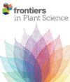 Identification and control of latent bacteria in in vitro cultures of sweetpotato (Ipomoea batatas (L.) Lam)
