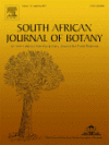 Characterizing the diversity of sweetpotato through growth parameters and leaf traits: Precocity and light use efficiency as important ordination factors