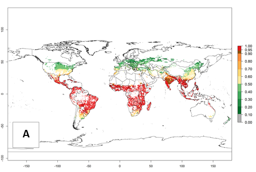 4.4.2 Maize stalk borer, Busseola fusca (Fuller 1901) – Risk Atlas for ...