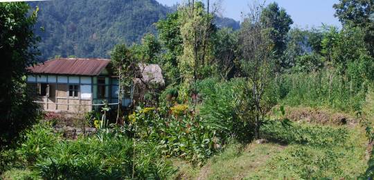 The rich agro-biodiversity of the Eastern Himalayas