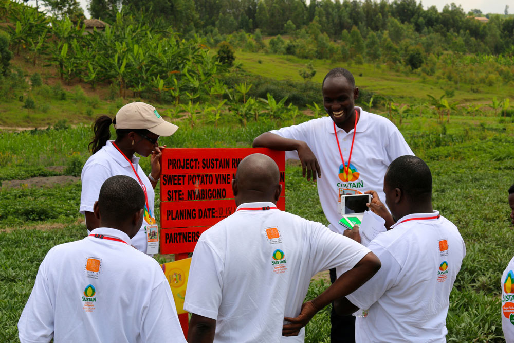 SUSTAIN Staff enjoying the field visit to OFSP vine multipliers in Southern Rwanda
