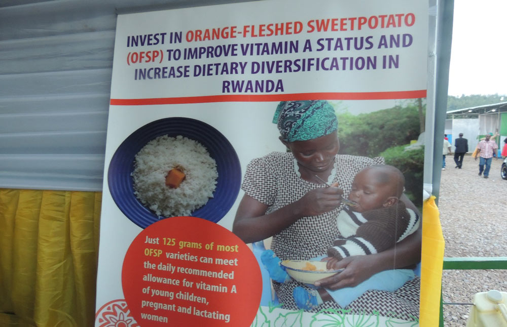At Imbaraga Stand/CIP mobilizes stand visitors to incorporate their diet with OFSP