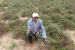 Risk Taking Model Farmer Helps Grow OFSP Value Chain in Ethiopia