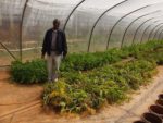 Guta Gudissa: Un agricultor modelo de papa en las tierras altas de Etiopía