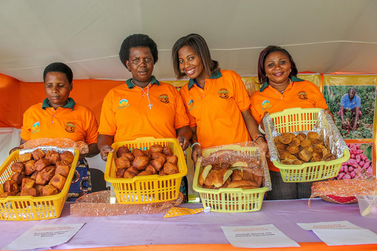 Breads baked with OFSP are advertised at a CIP event. By the year 2023 CIP aims to reach at least 15 million resource-poor households with this resilient, nutritious crop. Photo by Sara Quinn/CIP