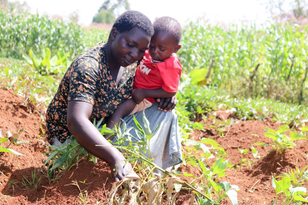 1 Teresa Nekesa with her youngest child in her OFSP plot