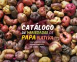 Se publica el primer Catálogo de Papas Nativas del Sureste de Junín
