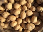 You could be paying more for potatoes in 2019. Is climate change to blame?