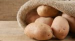 La patata que se cultivará en Marte, protagonista de un concurso de cocina en Zaragoza