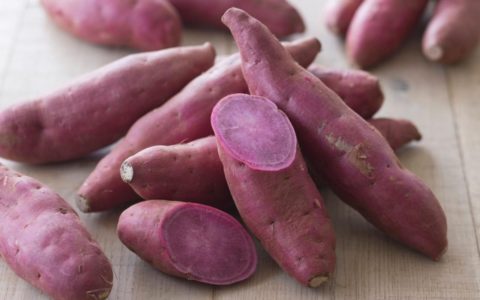 The humble sweet potato can help power Africa in the face of climate change