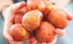 Nutritious, versatile and even sexy: WA potato farmers take on low-carb diets