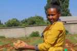 Ethiopian farmers help researchers select potato varieties that the market demands