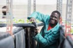 Rooting out hunger in Malawi through better potato varieties