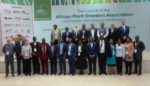 African Plant Breeders Association launched to improve food security in Africa