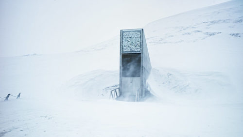 ‘Noah’s Ark’ Arctic seed vault gets new crops, recovers to 1 million samples