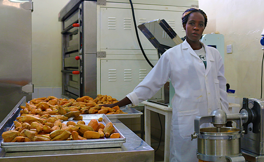 Orangefleshed sweetpotato puréebased food applications, East Africa International Potato Center