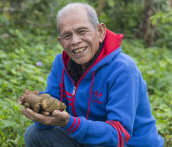 German Bosano works in his sweetpotato field in the Lundag Pilar community in Bohol, Philippines. Bosano is part of an indigenous community known as the Eskaya, members have banded together to begin a sweetpotato production business. They've learned how to participate in the market and become players in the local value chain through Farmer Business Schools. The sweetpotatoes are grown interspersed with fruit and forest trees to help minimize deforestation. The Farmer Business School model was introduced in the area with generous funding from IFAD. CIP was asked to introduce the model from CIP partner INREMP, a government project focused on conserving local forests, to help people in the community find alternatives to deforestation. Protecting the forest helps create a buffer that mitigates the impact of tropical storms. The group has learned business skills, including production, marketing, and how to participate in value chains. To date the group has developed ten different flavors of sweetpotato chips and a variety of sweetpotato juice using locally available mango and a citrus fruit known as calamari. "Everyone got excited when they learned came could be turned into different prodcs and not just boiled or cooked in sugar," says the group manager Jenelie Sandigan.