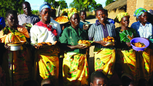 Promoting agriculture to support economic growth in Malawi