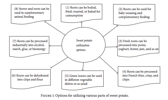 Fighting Poverty and Malnutrition in Nigeria with Sweetpotatoes ...