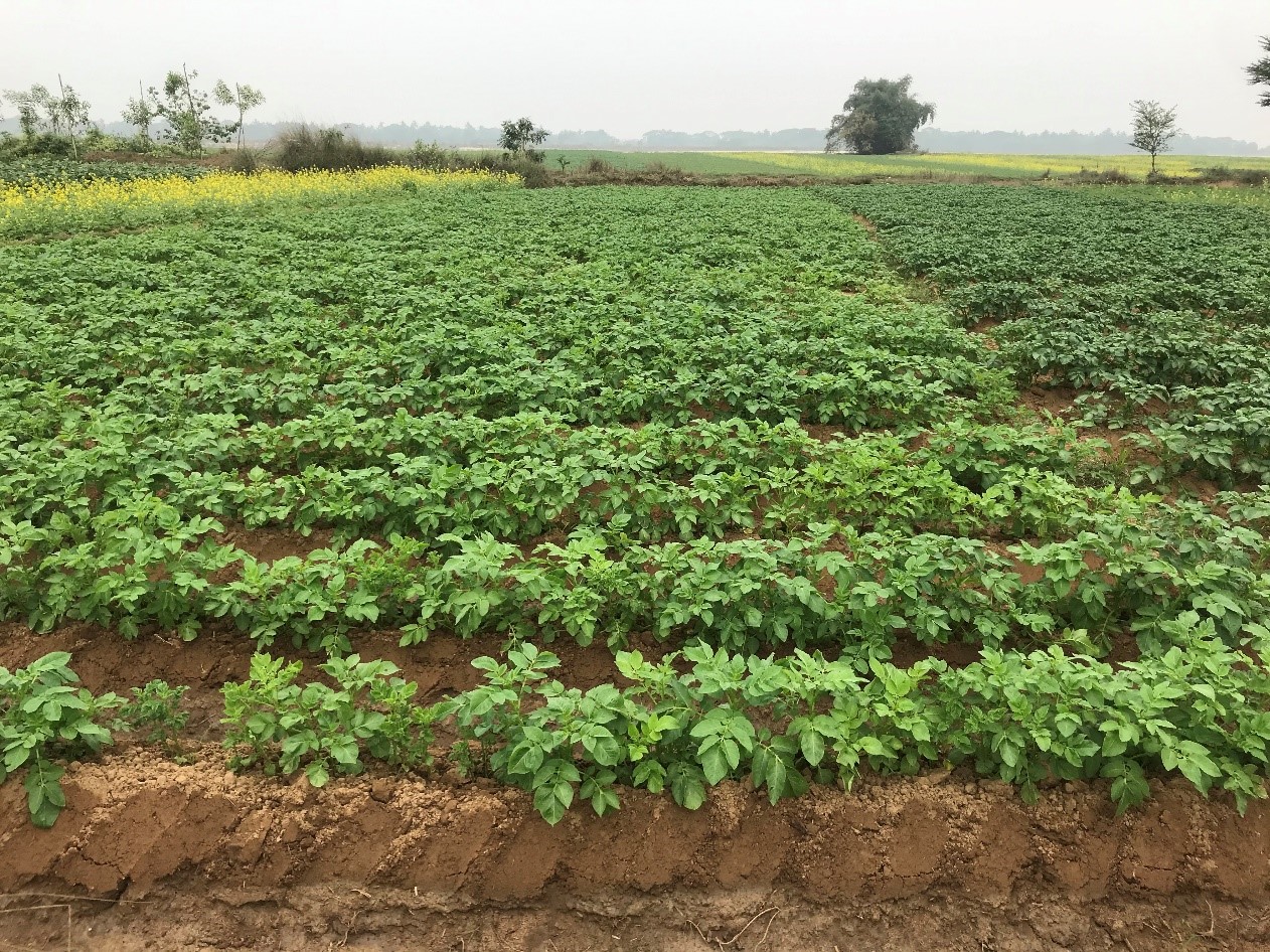 The food supply chain has delivered; now is the time for agriculture ... Biology Diagrams