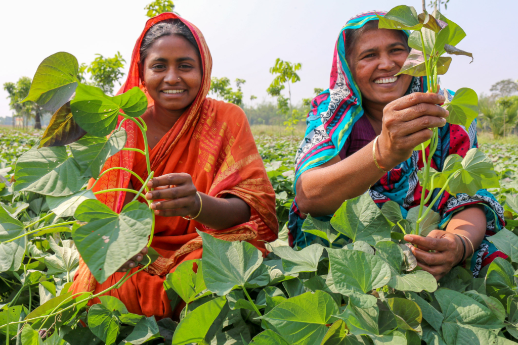 Nutritional security, livelihoods and climate resilience in Asia ...