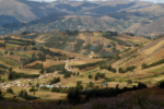Iniciativa busca mejorar los ingresos, la nutrición y el medio ambiente en los Andes