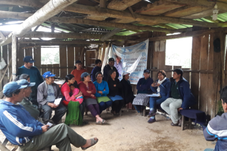 Herramientas digitales para fortalecer el desarrollo de la investigación rural y la asesoría a los productores de papa en el Perú
