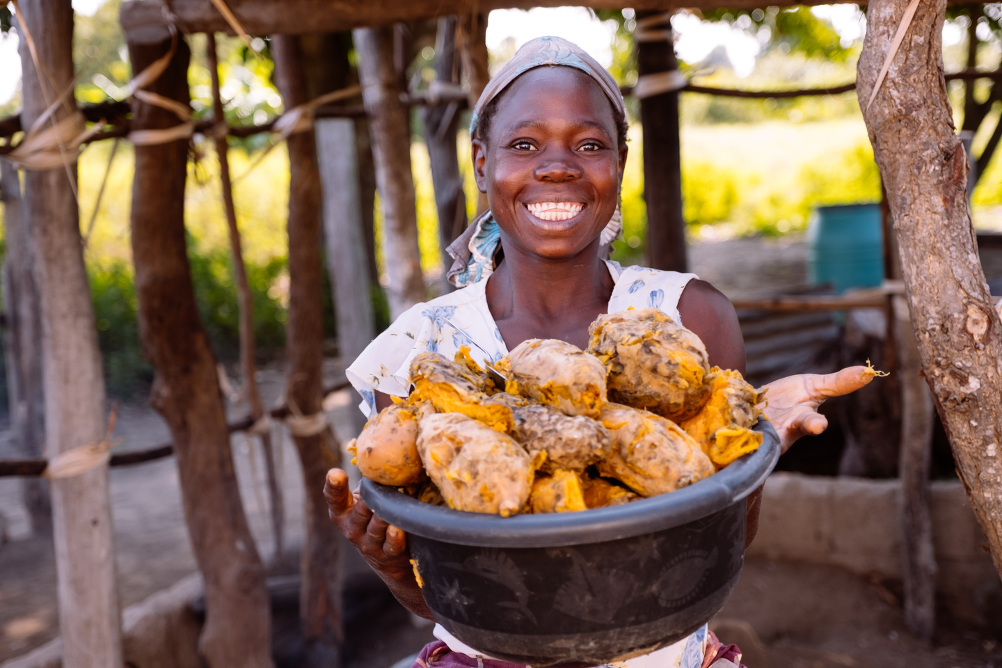 Building Diverse And Healthier Diets For Africa s Growing Population building-diverse-and-healthier-diets-for-africa-s-growing-population