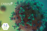 Simposio Internacional: “El Genoma de SARS-CoV2, su evolución y epidemiologia en América Latina”