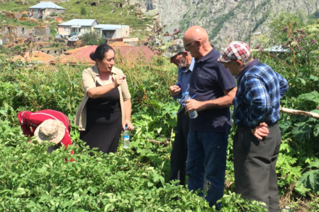Boosting potato production to enhance rural livelihoods—Georgia