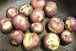 Study Finds Spuds Excellent Source of Iron