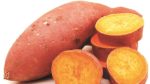 Scaling up vitamin A-rich sweetpotato