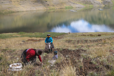 Women hold the seeds of a stronger food system for Peru