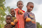 Using cutting-edge science to protect African farmers’ potato crops, incomes, and food security