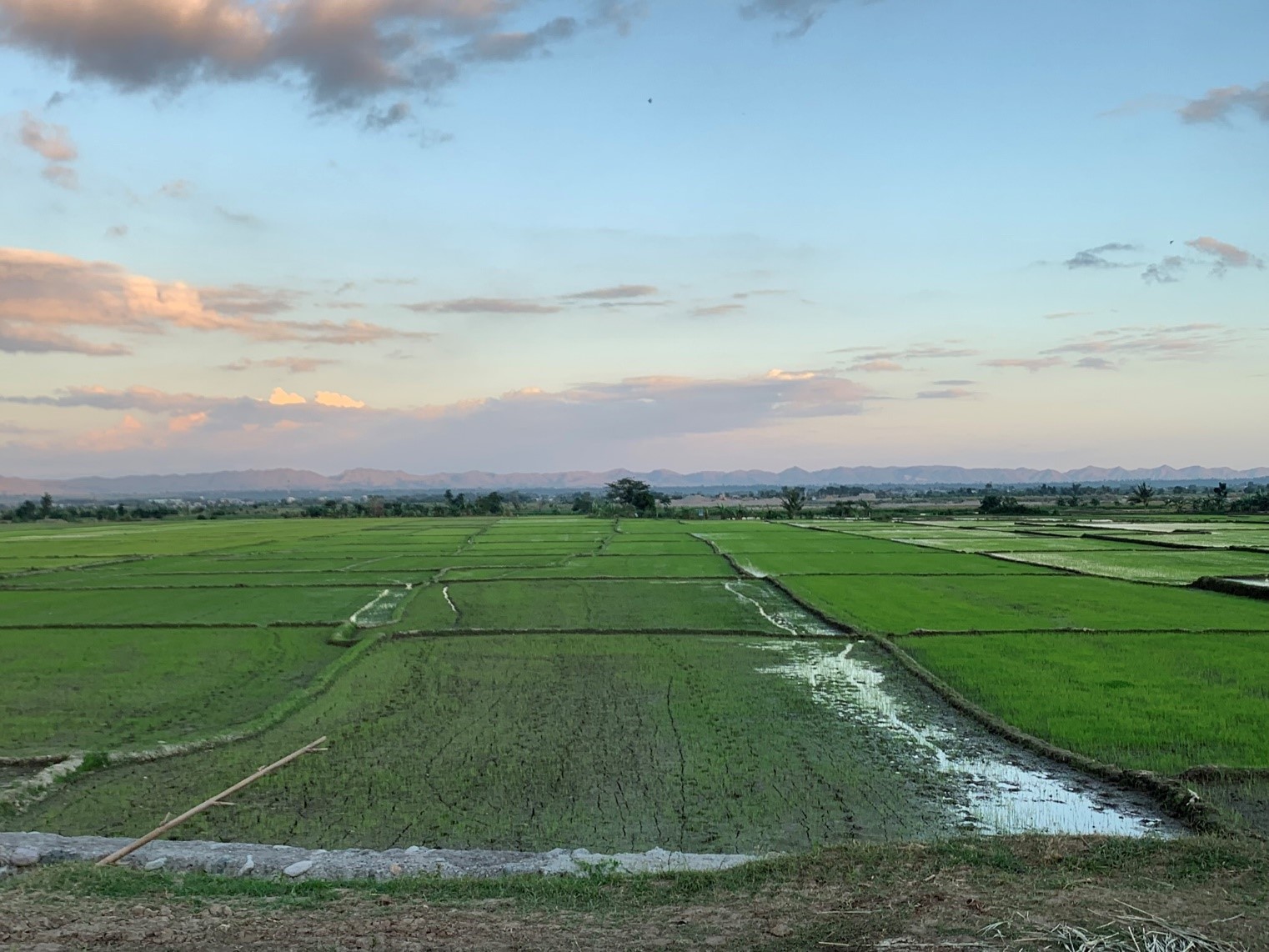 Agricultural landscape in Kalinga, Philippines. Photo credit: Marcel Gatto/CIP