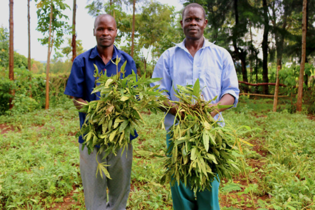 Tools and training to increase farmer access to quality seed