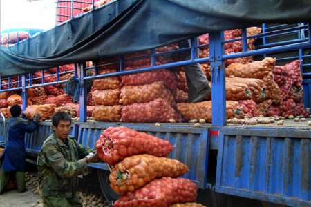 Boosting potato supply and demand in Southeast Asia