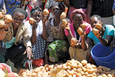 Promoting nutrition-sensitive potato value chains in Kenya