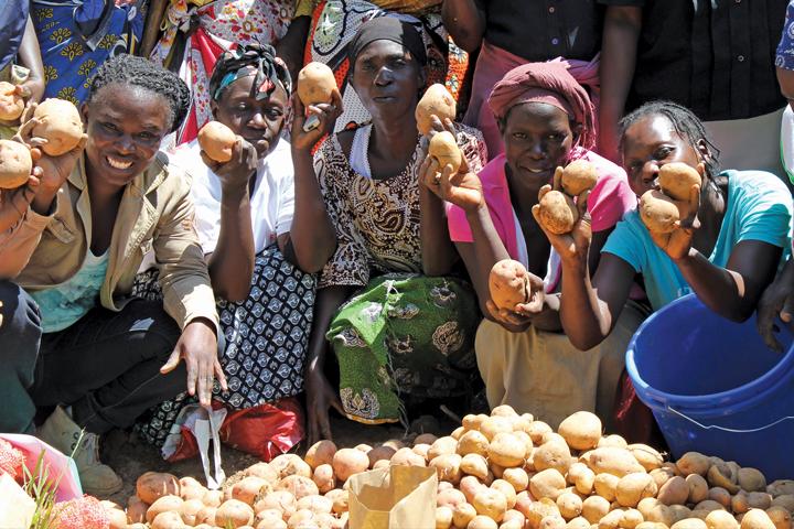 Promoting nutrition-sensitive potato value chains in Kenya ...