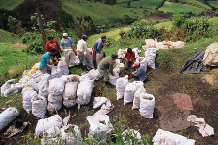 EuroClima: Adopción de mejores prácticas agrícolas climáticamente inteligentes en los andes