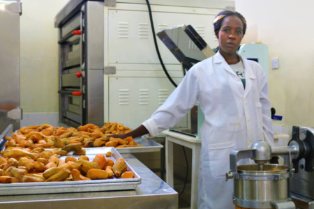 Innovations to boost production of safe and nutritious sweetpotato products in Kenya