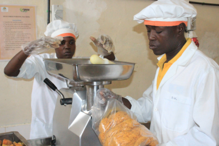 Orange-fleshed sweetpotato puree for baked and fried products in Kenya, Malawi and Uganda