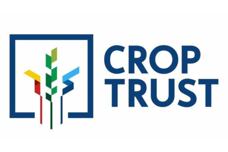 The Crop Trust and CIP Announce New Disease-Proof Potato
