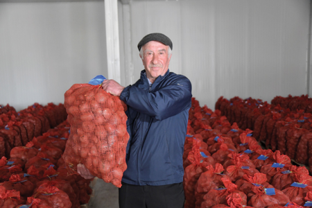 Using science to revitalize Georgia’s potato sector