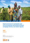 Rapid assessment of sweetpotato seed and root  production and markets in Kamuli and Iganga  districts, near Eastern Uganda